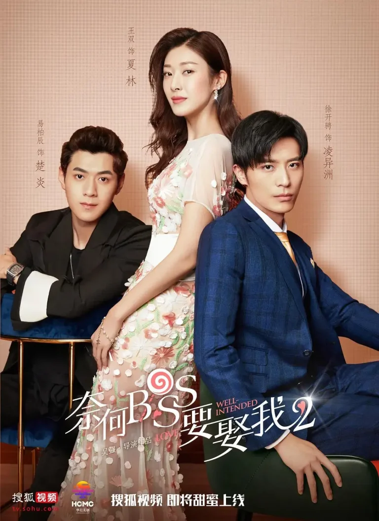 《奈何boss要娶我2》全集高清完整版在线观看与剧情解析