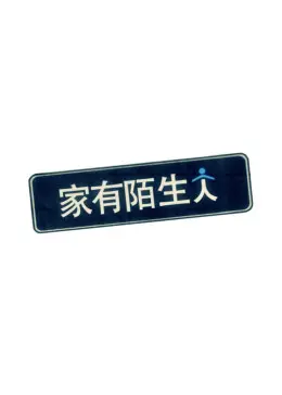 《家有陌生人》全集高清完整版在线观看与剧情解析