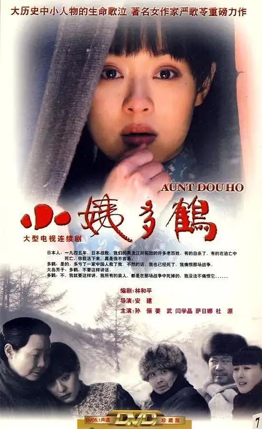 《小姨多鹤》全集高清完整版在线观看与剧情解析