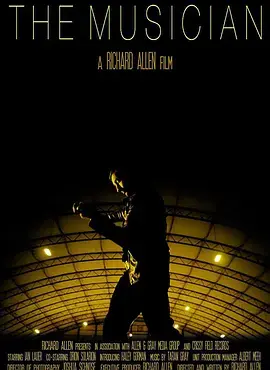 《幸福提琴家》全集高清完整版在线观看与剧情解析