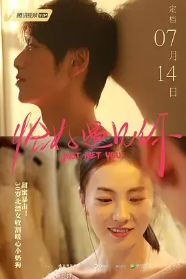 《恰好遇见你2019》全集高清完整版在线观看与剧情解析