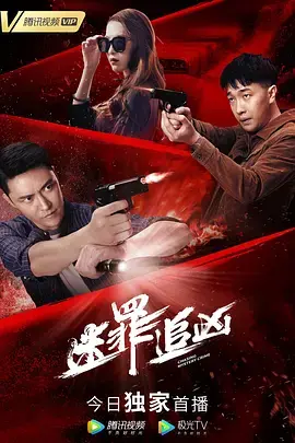 《迷罪追凶》全集高清完整版在线观看与剧情解析