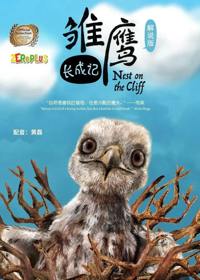 《雏鹰长成记》全集高清完整版在线观看与剧情解析