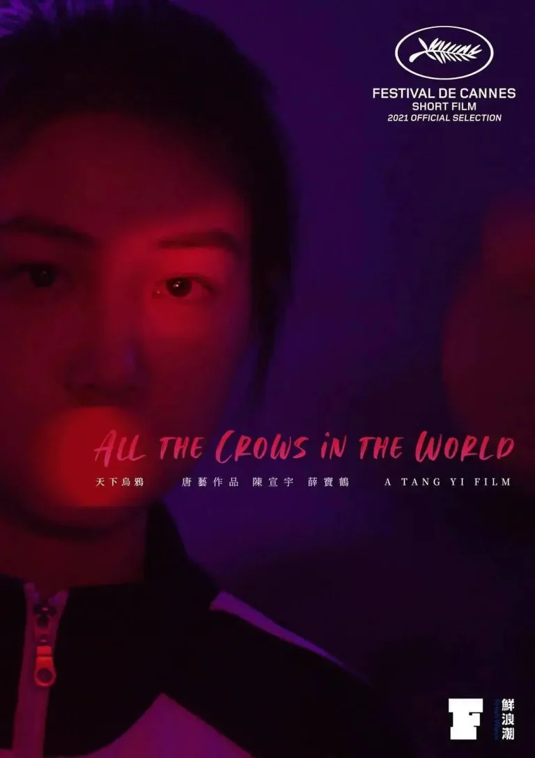 《天下乌鸦》全集高清完整版在线观看与剧情解析