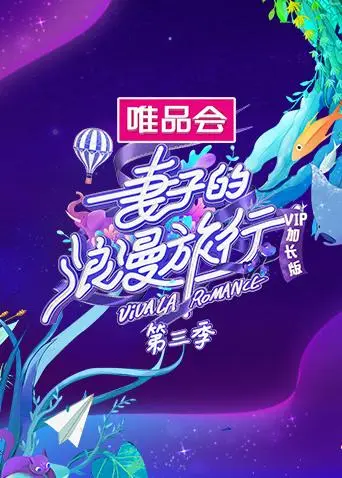 《妻子的浪漫旅行3VIP加长版》全集高清完整版在线观看与剧情解析