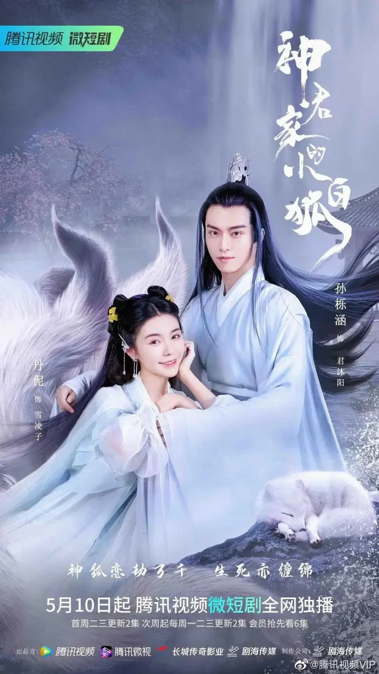 《神君家的小白狐》全集高清完整版在线观看与剧情解析